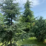 Avelia - Sea View Jacuzzi Retreat Varna