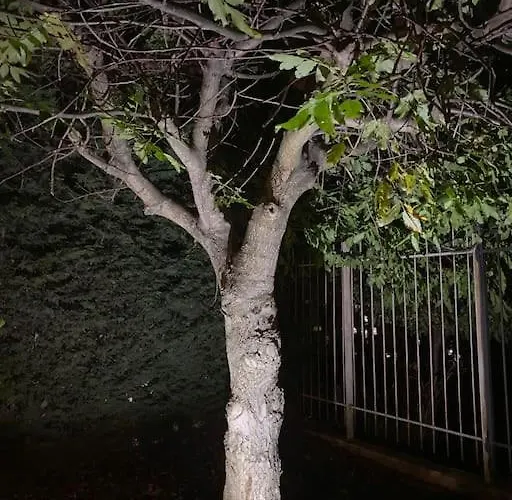 Luxury Seaside With Jacuzzi & Garden - Warna